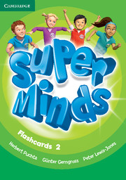 SUPER MINDS 2 FLASHCARDS (103)*