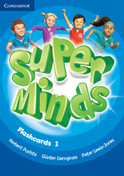 SUPER MINDS 1 FLASHCARDS (103)*