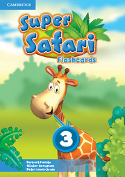 SUPER SAFARI 3 FLASHCARDS (78)