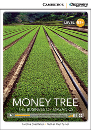 CDE 8 MONEY TREE +ONLINE CODE*