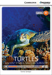 CDE 7 TURTLES +ONLINE CODE*